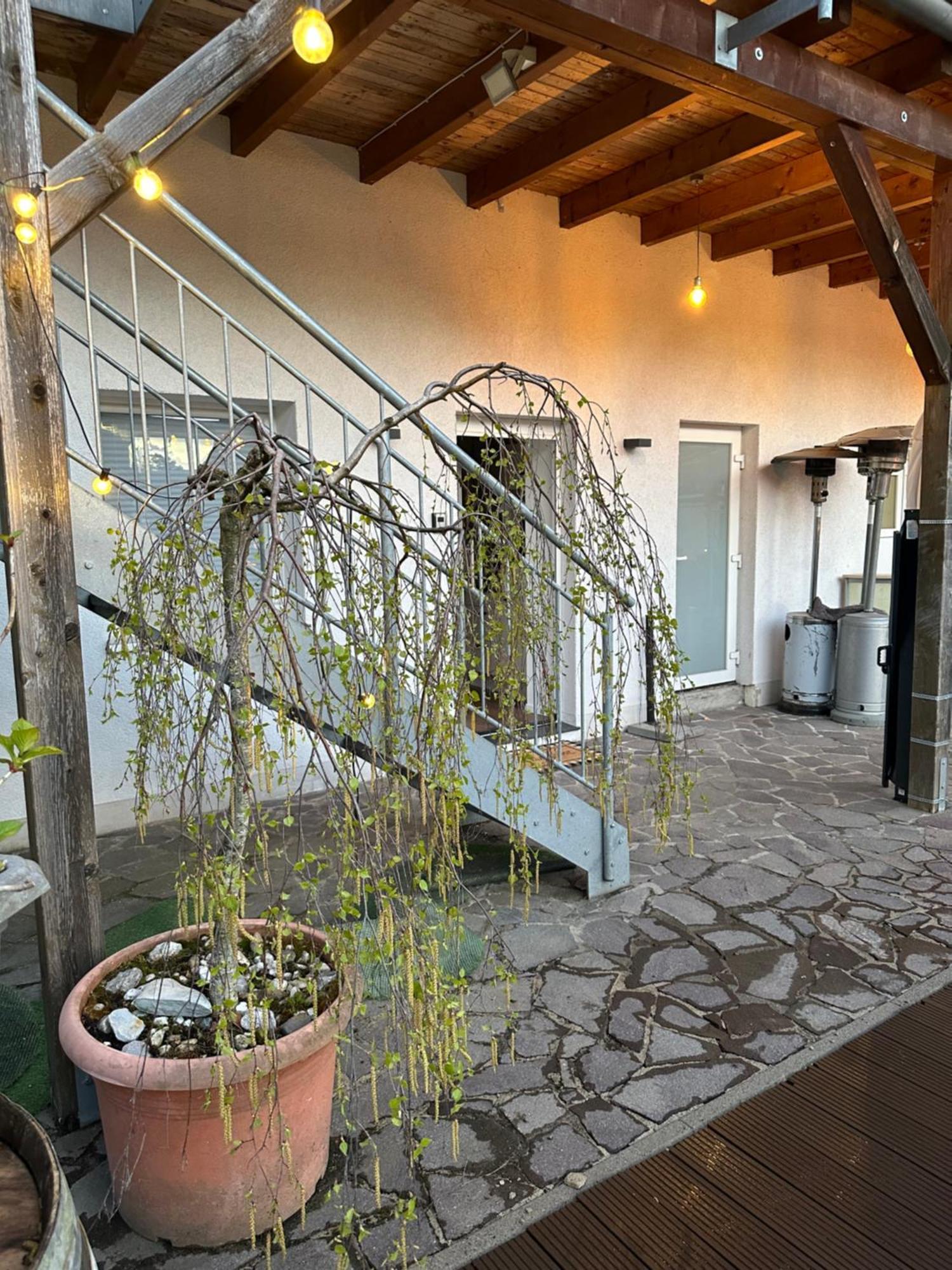 Mola Apartments-charmante Im Zentrum Fuer 3 Personen-grosse Dachterrasse-grill-gratis Parken-wlan Apartment *